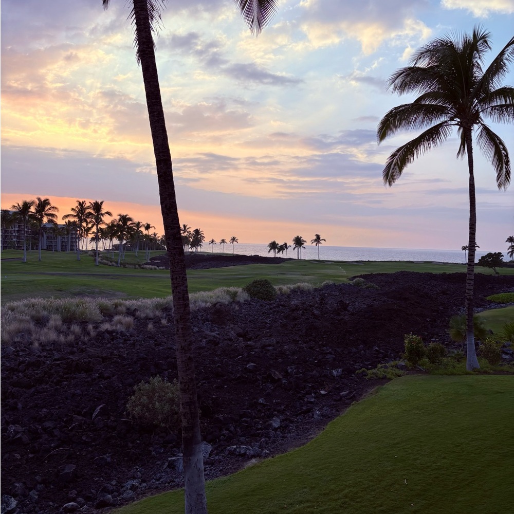 Meet your Posher, Steph